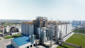 Grain Processing