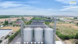 8 Things to Know About Paddy Drying